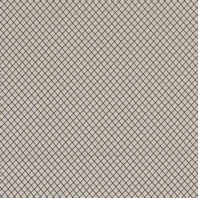 Charlotte Fabrics D1553 Platinum Diamond