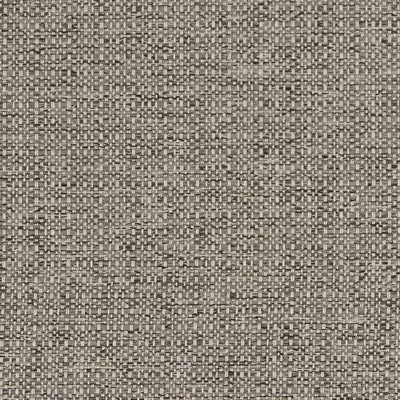 Charlotte Fabrics D1582 Platinum