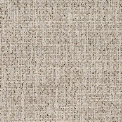 Charlotte Fabrics D1619 Birch