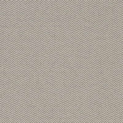 Charlotte Fabrics D1622 Zinc