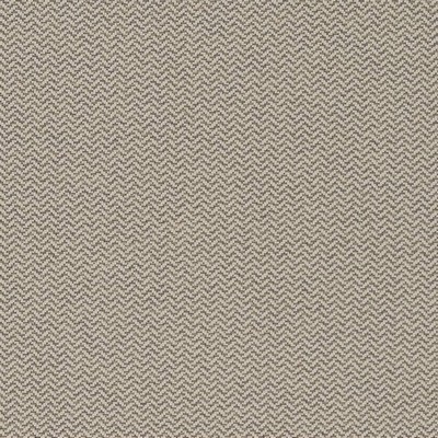 Charlotte Fabrics D1624 Pewter
