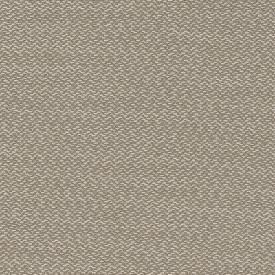 Charlotte Fabrics D1625 Cloud