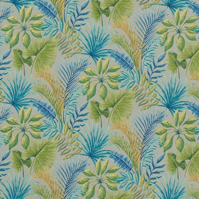 Charlotte Fabrics D1667 Captiva