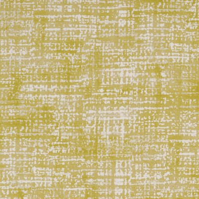 Charlotte Fabrics D1674 Lime