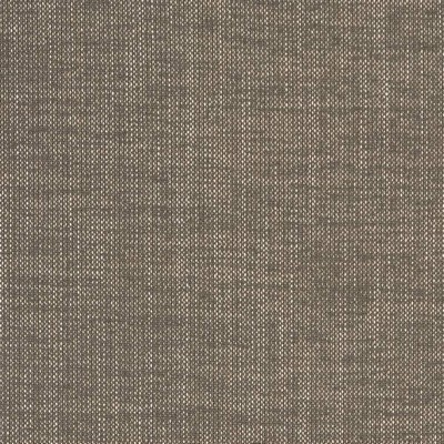 Charlotte Fabrics D1703 Slate