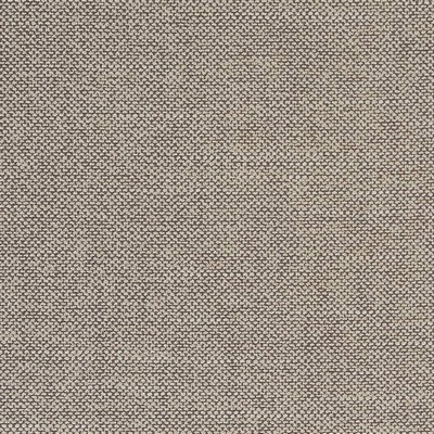 Charlotte Fabrics D1755 Fossil