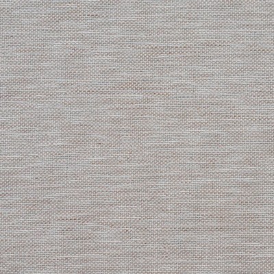 Charlotte Fabrics D1873 Linen