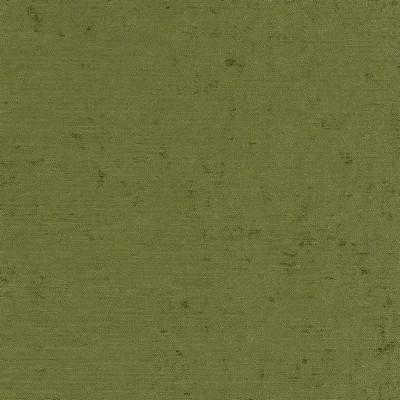 Charlotte Fabrics D1904 Caper