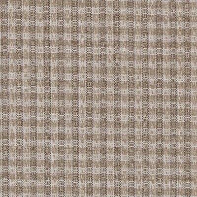 Charlotte Fabrics D1963 Mushroom