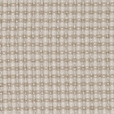 Charlotte Fabrics D1967 Oyster