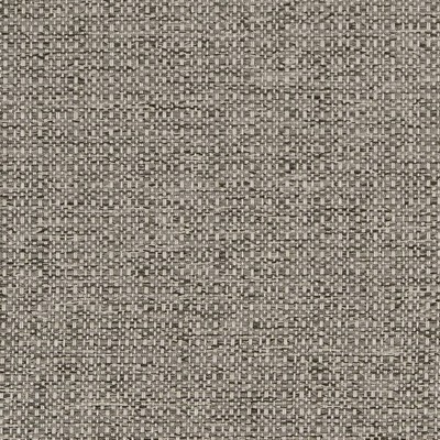 Charlotte Fabrics D1979 Platinum