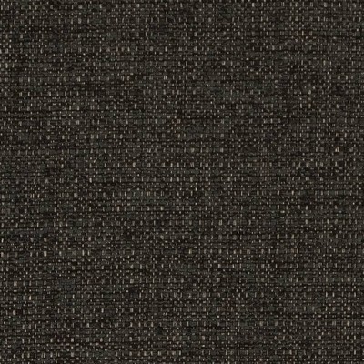Charlotte Fabrics D1986 Charcoal