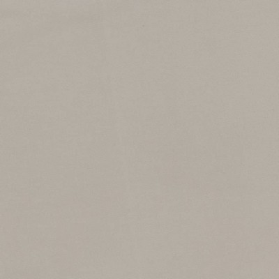 Charlotte Fabrics D2098 Linen