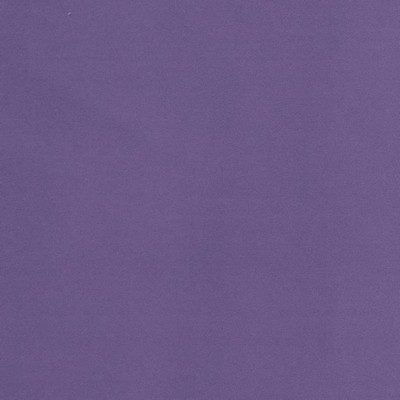 Charlotte Fabrics D2104 Periwinkle