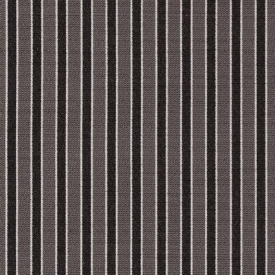 Charlotte Fabrics D2130 Charcoal Stripe