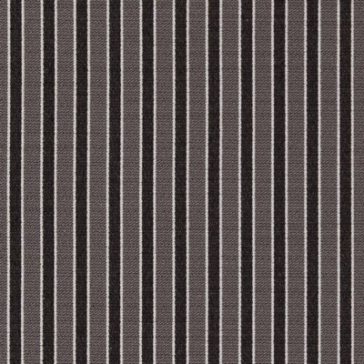 Charlotte Fabrics D2130 Charcoal Stripe