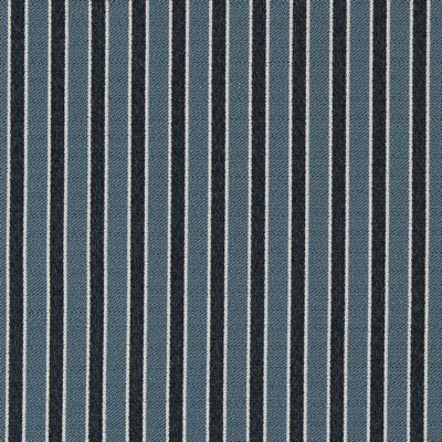 Charlotte Fabrics D2133 River Stripe