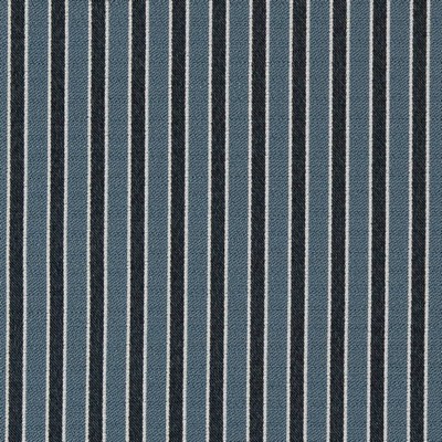 Charlotte Fabrics D2133 River Stripe