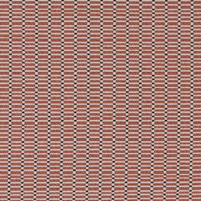 Charlotte Fabrics D2161 Salmon Stack