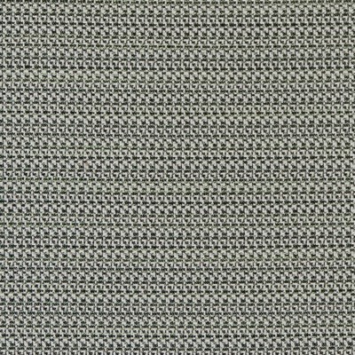 Charlotte Fabrics D2186 Spring Texture
