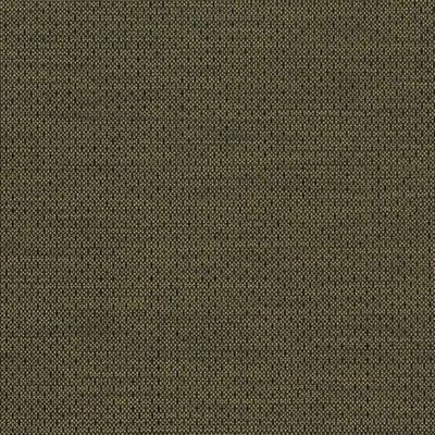 Charlotte Fabrics D2193 Basil