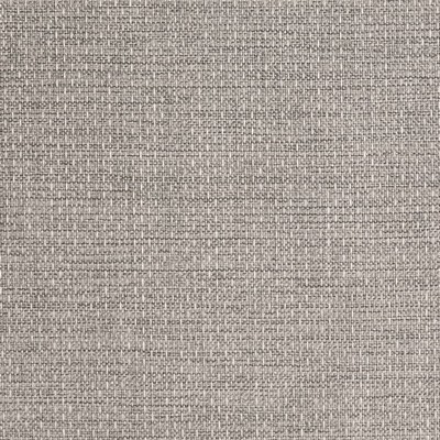 Charlotte Fabrics D2214 Fossil
