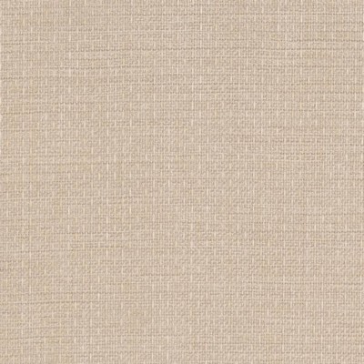 Charlotte Fabrics D2216 Quartz