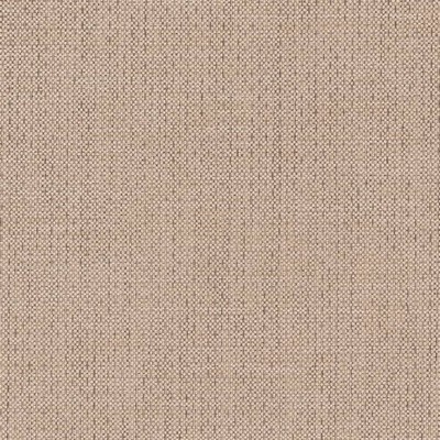 Charlotte Fabrics D2225 Zinc