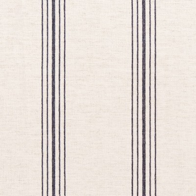 Charlotte Fabrics D2278 Hampton Indigo