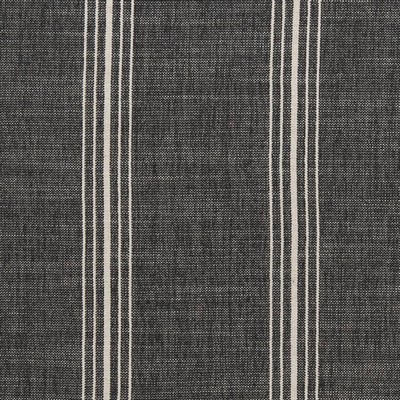 Charlotte Fabrics D2283 Newport Charcoal