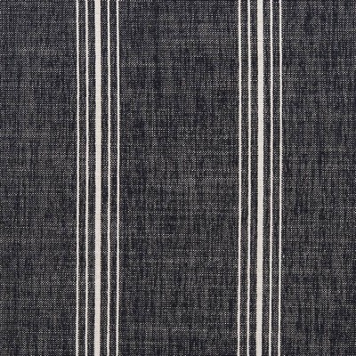 Charlotte Fabrics D2284 Newport Indigo