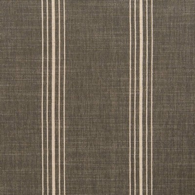 Charlotte Fabrics D2286 Newport Slate