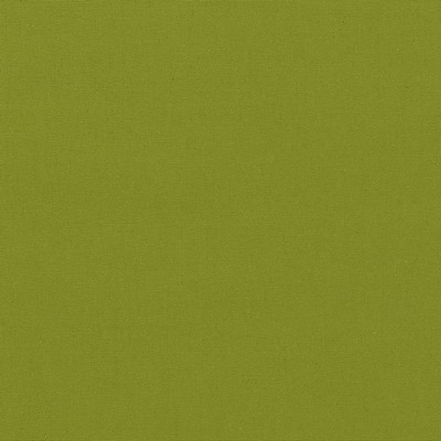 Charlotte Fabrics D2335 Lime