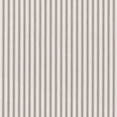 Charlotte Fabrics D2376 Pewter