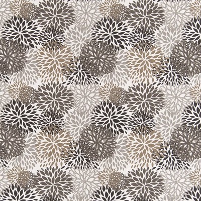 Charlotte Fabrics D2462 Hickory