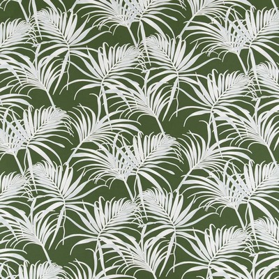 Charlotte Fabrics D2466 Fern