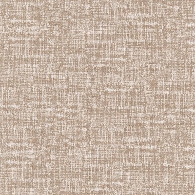 Charlotte Fabrics D2487 Acorn