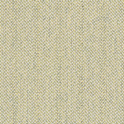 Charlotte Fabrics D2532 Spring