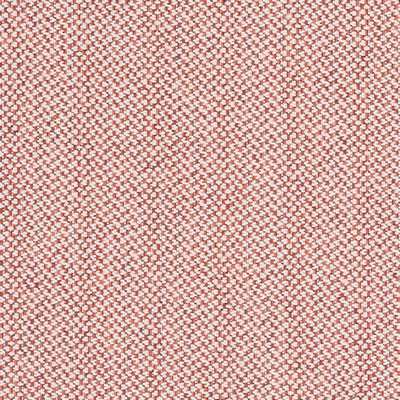 Charlotte Fabrics D2533 Mandarin