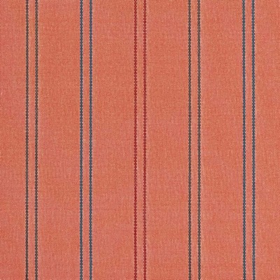Charlotte Fabrics D2539 Punch