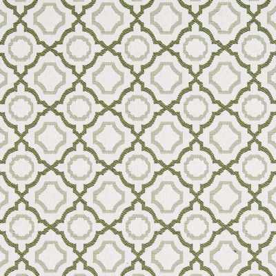Charlotte Fabrics D2559 Avocado