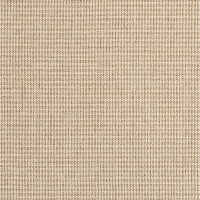 Charlotte Fabrics D2578 Mini Check Sand