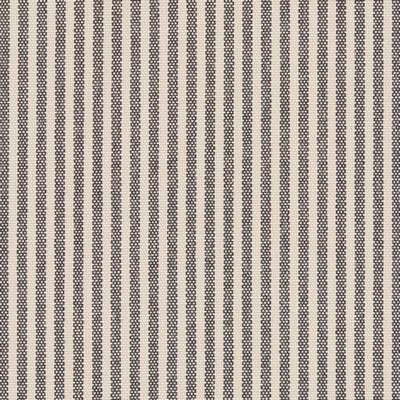 Charlotte Fabrics D2586 Ticking Coal