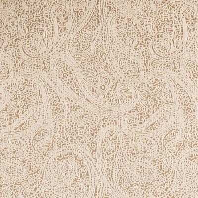 Charlotte Fabrics D2593 Paisley Cafe
