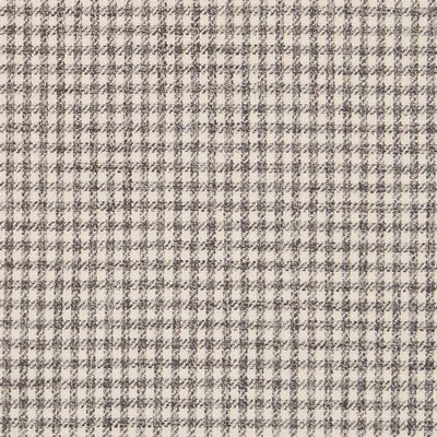 Charlotte Fabrics D2612 Check Pewter