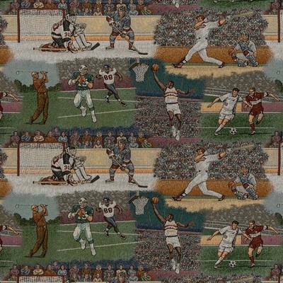 Charlotte Fabrics D2681 Sports