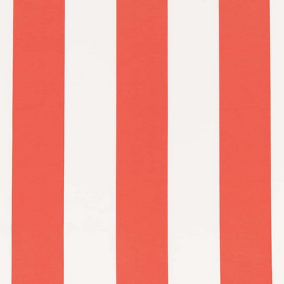 Charlotte Fabrics D2707 Watermelon