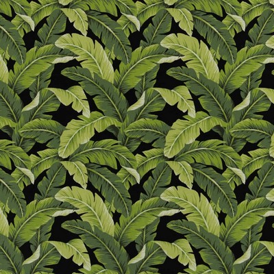 Charlotte Fabrics D2715 Rainforest