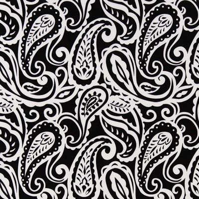 Charlotte Fabrics D2759 Raven