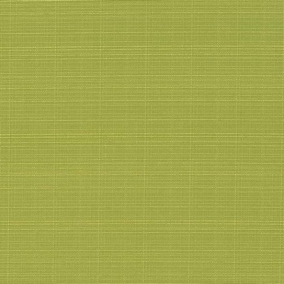 Charlotte Fabrics D2795 Pear